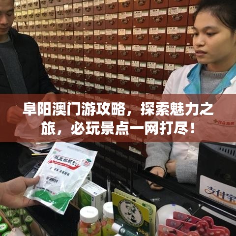 阜陽澳門游攻略，探索魅力之旅，必玩景點一網(wǎng)打盡！