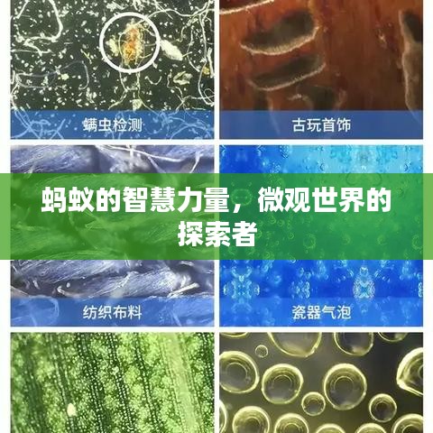降尊紆貴 第2頁(yè)