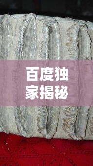 忠心耿耿 第2頁