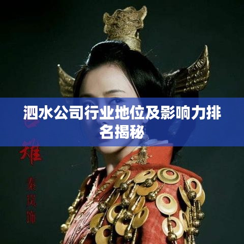 泗水公司行業(yè)地位及影響力排名揭秘