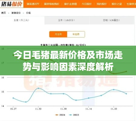 今日毛豬最新價格及市場走勢與影響因素深度解析