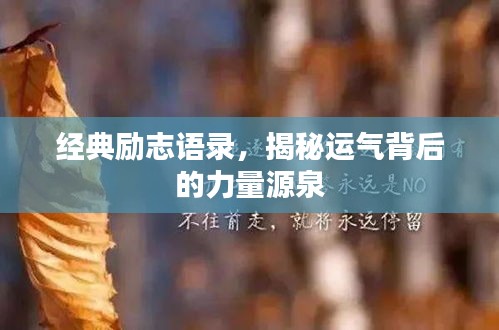 經(jīng)典勵(lì)志語(yǔ)錄，揭秘運(yùn)氣背后的力量源泉
