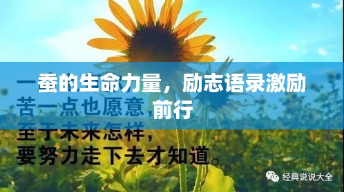 蠶的生命力量，勵志語錄激勵前行