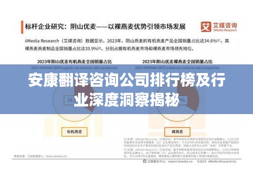 安康翻譯咨詢公司排行榜及行業(yè)深度洞察揭秘
