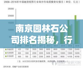 南京園林石公司排名揭秘，行業(yè)深度分析與趨勢(shì)解讀