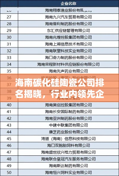 海南碳化硅陶瓷公司排名揭曉，行業(yè)內(nèi)領(lǐng)先企業(yè)榜單