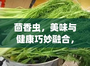 茴香蟲，美味與健康巧妙融合，享用指南！