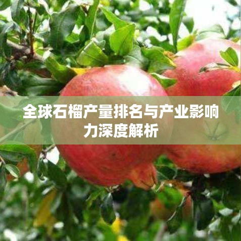 全球石榴產(chǎn)量排名與產(chǎn)業(yè)影響力深度解析