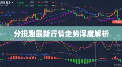分投趣最新行情走勢深度解析