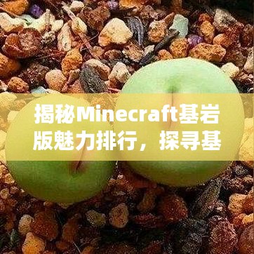 揭秘Minecraft基巖版魅力排行，探尋基巖版獨(dú)特吸引力