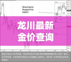 龍川最新金價(jià)查詢表及黃金市場(chǎng)動(dòng)態(tài)趨勢(shì)深度解析