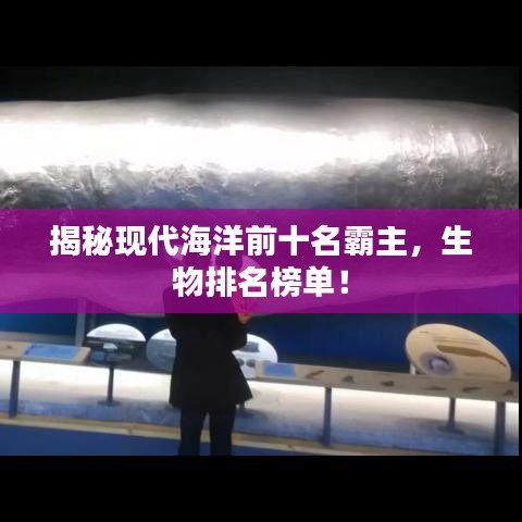 揭秘現(xiàn)代海洋前十名霸主，生物排名榜單！