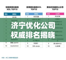 濟(jì)寧優(yōu)化公司權(quán)威排名揭曉，行業(yè)深度洞察報(bào)告