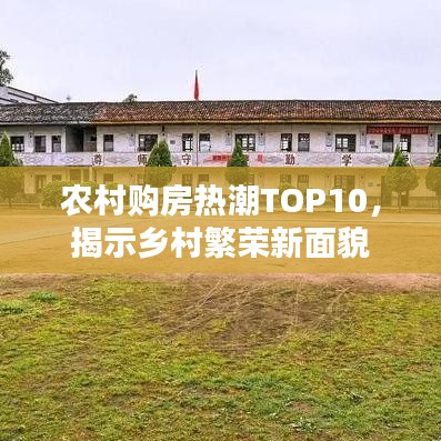 農(nóng)村購房熱潮TOP10，揭示鄉(xiāng)村繁榮新面貌
