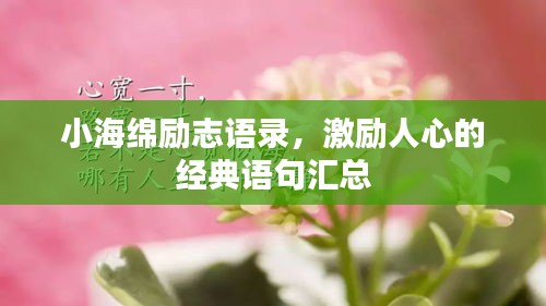 小海綿勵(lì)志語(yǔ)錄，激勵(lì)人心的經(jīng)典語(yǔ)句匯總