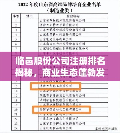 臨邑股份公司注冊排名揭秘，商業(yè)生態(tài)蓬勃發(fā)展，引領(lǐng)行業(yè)新風(fēng)向！