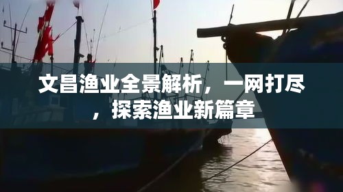 文昌漁業(yè)全景解析，一網(wǎng)打盡，探索漁業(yè)新篇章