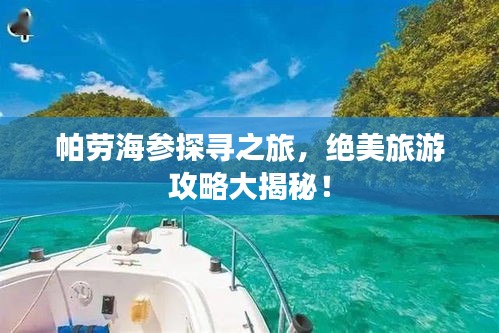 帕勞海參探尋之旅，絕美旅游攻略大揭秘！