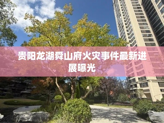 貴陽(yáng)龍湖舜山府火災(zāi)事件最新進(jìn)展曝光