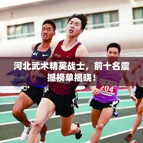 河北武術(shù)精英戰(zhàn)士，前十名震撼榜單揭曉！