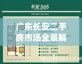 廣東長安二手房市場全景解析，百度揭示的購房秘籍