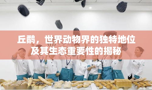 出就外傅 第2頁