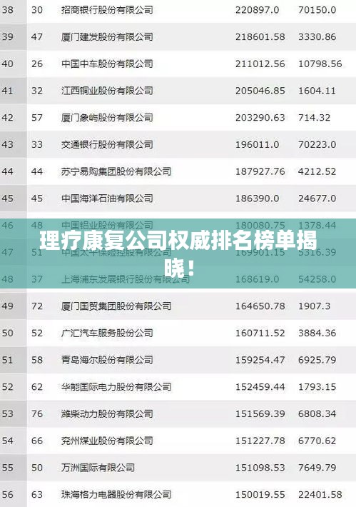 理療康復公司權威排名榜單揭曉！