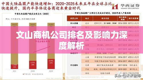 文山商機(jī)公司排名及影響力深度解析