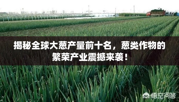 揭秘全球大蔥產(chǎn)量前十名，蔥類作物的繁榮產(chǎn)業(yè)震撼來襲！