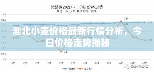 淮北小麥價格最新行情分析，今日價格走勢揭秘