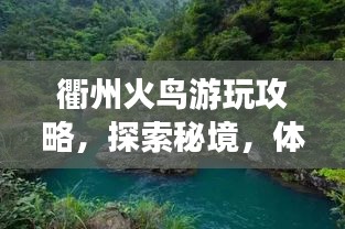 衢州火鳥游玩攻略，探索秘境，體驗獨特魅力
