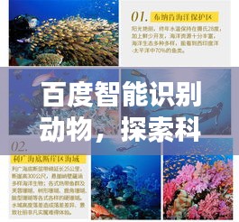 百度智能識(shí)別動(dòng)物，探索科技與自然交匯的神奇之旅