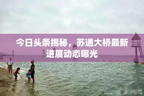 今日頭條揭秘，蘇通大橋最新進(jìn)展動態(tài)曝光