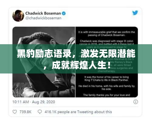 黑豹?jiǎng)?lì)志語錄，激發(fā)無限潛能，成就輝煌人生！