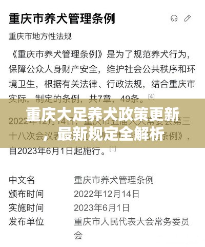 重慶大足養(yǎng)犬政策更新，最新規(guī)定全解析