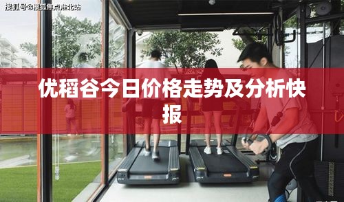 優(yōu)稻谷今日價格走勢及分析快報