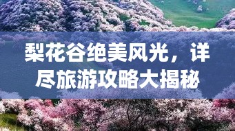 梨花谷絕美風(fēng)光，詳盡旅游攻略大揭秘！