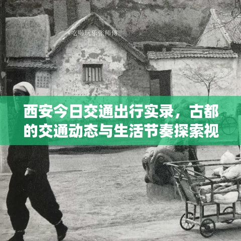 西安今日交通出行實(shí)錄，古都的交通動(dòng)態(tài)與生活節(jié)奏探索視頻