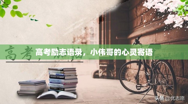 高考勵(lì)志語錄，小偉哥的心靈寄語