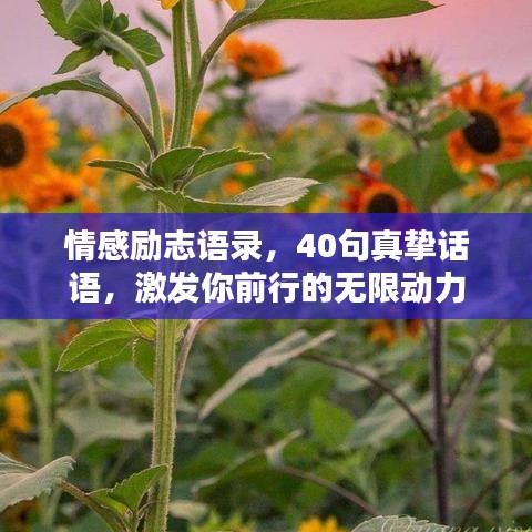 情感勵志語錄，40句真摯話語，激發(fā)你前行的無限動力