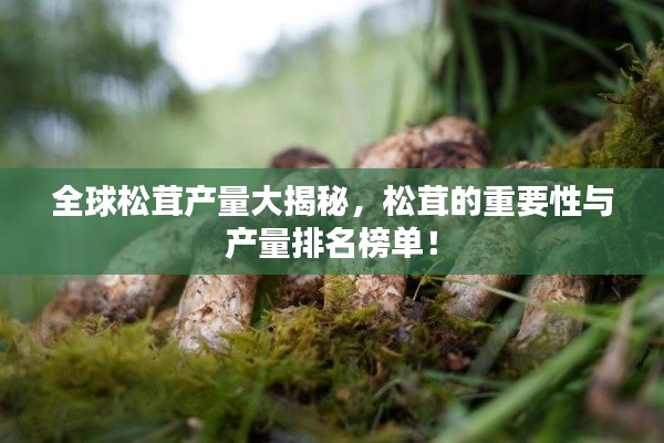 全球松茸產(chǎn)量大揭秘，松茸的重要性與產(chǎn)量排名榜單！