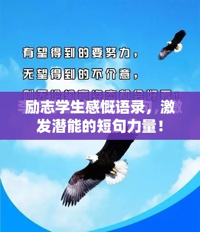 勵志學生感慨語錄，激發(fā)潛能的短句力量！