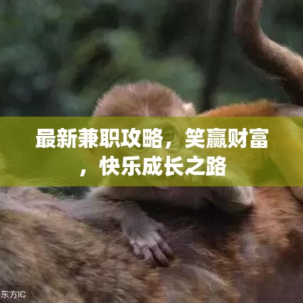 飛揚(yáng)跋扈 第2頁