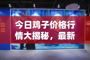 今日雞子價(jià)格行情大揭秘，最新動(dòng)態(tài)一網(wǎng)打盡