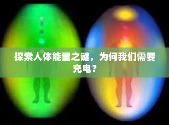 探索人體能量之謎，為何我們需要充電？