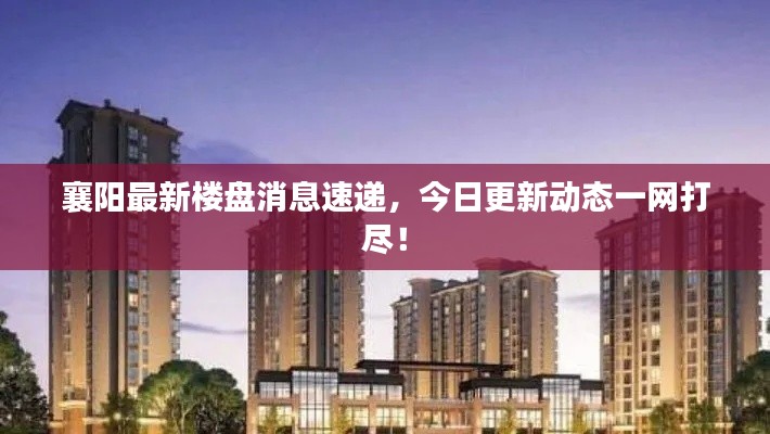 襄陽最新樓盤消息速遞，今日更新動態(tài)一網(wǎng)打盡！