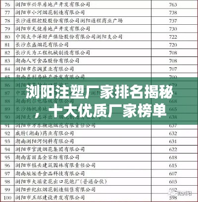 瀏陽注塑廠家排名揭秘，十大優(yōu)質(zhì)廠家榜單