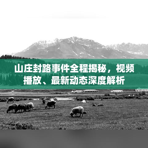 山莊封路事件全程揭秘，視頻播放、最新動(dòng)態(tài)深度解析
