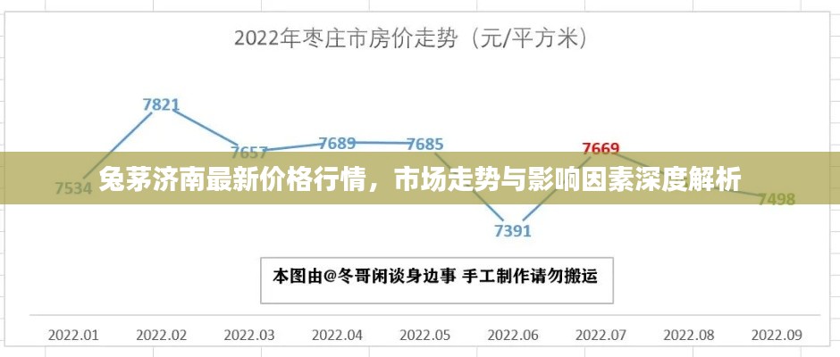兔茅濟南最新價格行情，市場走勢與影響因素深度解析