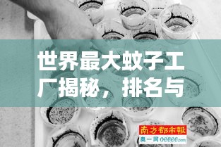世界最大蚊子工廠揭秘，排名與驚人真相！